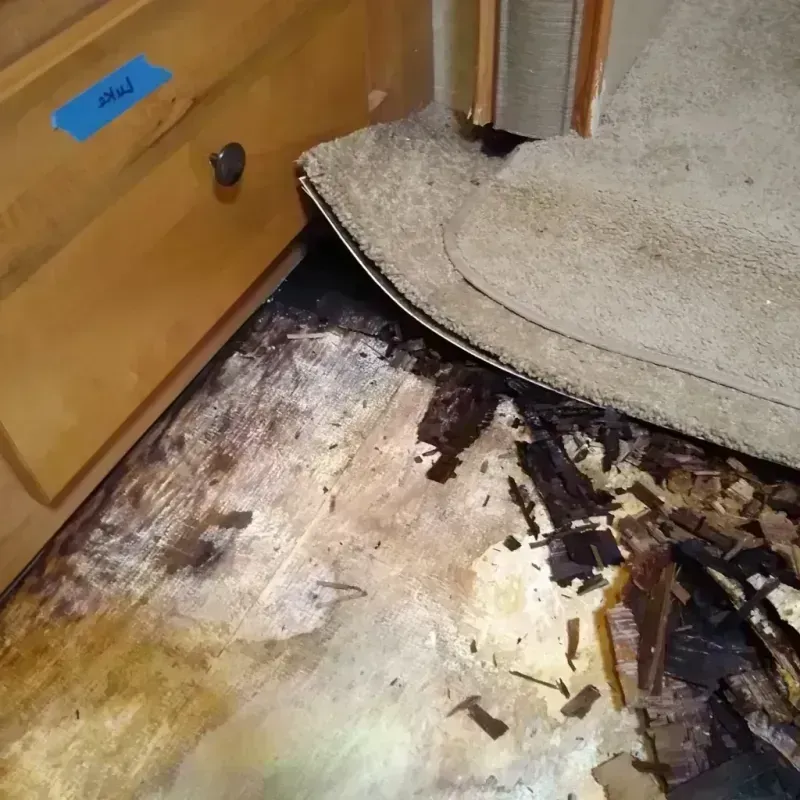 Wood Floor Water Damage in Slater-Marietta, SC